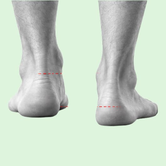 Two lower legs with dashed reference lines at different heights.